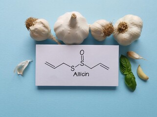 Structural chemical formula of allicin molecule with raw garlic. Allicin is an organosulfur...