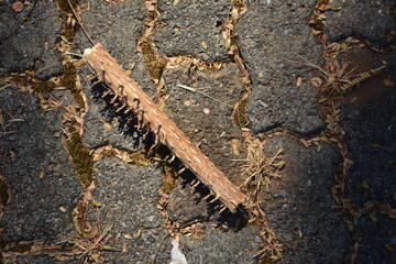 A tree stump on a street