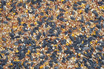 Pile of birdseed mix filling the frame to be used as a background