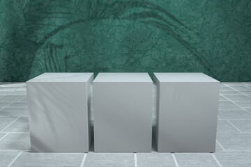 Cube platform with plant shadows on the green wall, 3d rendering.