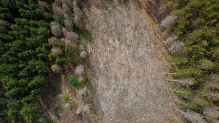 Bark beetle infestation and subsequent clearing in a forest area - aerial view