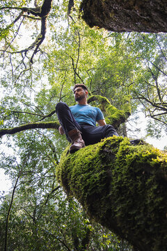A young latin man climbed a tree in a forest and sits relaxing in the trunk of the tree.