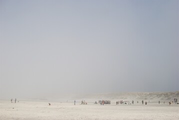 Sea fog