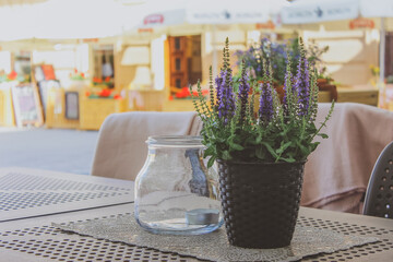 cafe and lavender