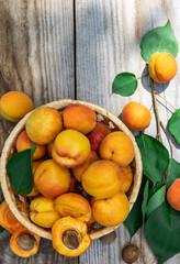Fototapeta na wymiar Apricots in a basket on wooden boards, top view down. Fresh fruit concept