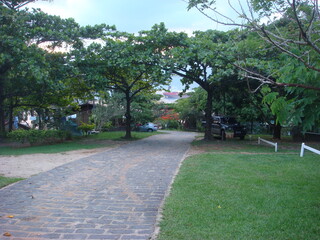 path in the park