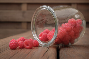 bio himbeere pflücken raspberry