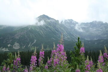 Tatras Mountains Poland