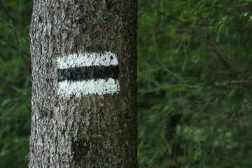 Tatras Mountains Poland