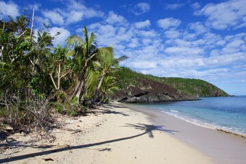 Palm shadow on tropical beach, Fiji