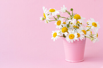 Floral arrangement with white daisies standing in a pink bucket on a light pink background. Copy space
