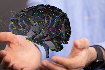 human brain imagination learning and mind