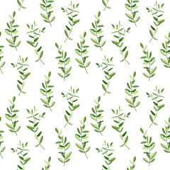 Fototapeta na wymiar Watercolor green twigs seamless pattern. Vertical twigs pattern on white background. For wrapping paper, textiles, wallpaper and fabric pattern.