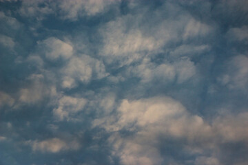 Obraz premium cloud cover in the evening summer sky
