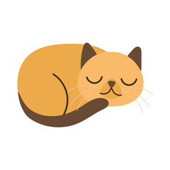 cute little cat pet hand draw style icon