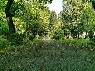 footpath in the park