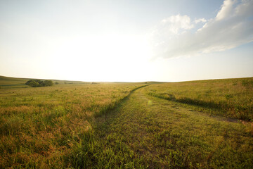 road in a grassy field in the Kansas prairie at sunset - Powered by Adobe