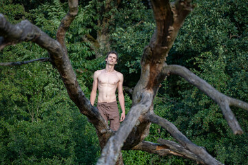 Shirtless man looking up while kneeling on log against trees in forest