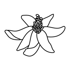 beautiful flower garden line style icon