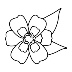 Fototapeta na wymiar beautiful flower and leafs garden line style icon