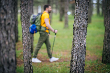 Naklejka na ściany i meble a mountaineer walks through the woods in mountaineering gear