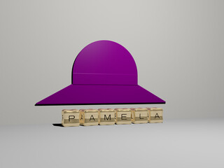 3D graphical image of PAMELA vertically along with text built by metallic cubic letters from the top perspective, excellent for the concept presentation and slideshows