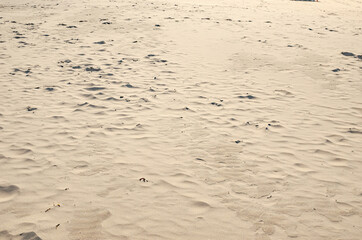 
beach with sand