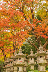 紅葉　勝尾寺
