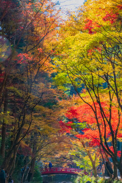 46 Best 小國神社 Images Stock Photos Vectors Adobe Stock 46 Best 小國神社 Images Stock Photos Vectors Adobe Stock