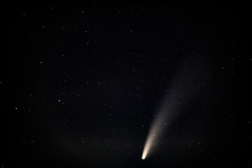 Fototapeta na wymiar Comet Neowise 2020
