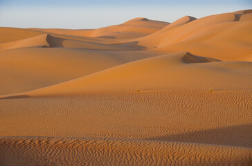 Fototapeta na wymiar Contours of sand dunes at Liwa, Abu Dhabi, UAE