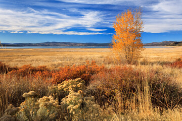 Eagle Lake In November