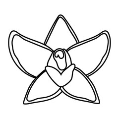 beautiful flower garden line style icon