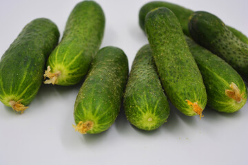 Young juicy cucumbers, Ukrainian cucumber harvest arranged on a white background. Fresh vegetables, healthy food for every day.