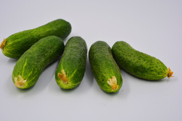 Young juicy cucumbers, Ukrainian cucumber harvest arranged on a white background. Fresh vegetables, healthy food for every day.