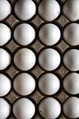 Fresh eggs on an egg tray
