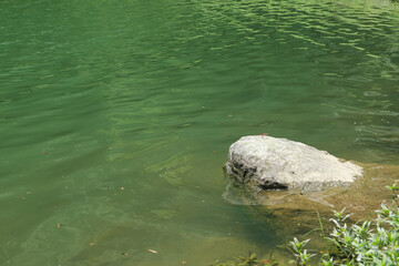 水の中から頭を出す石