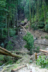 激しく崩れた危険な土砂災害