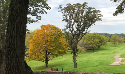 Fototapeta na wymiar autumn fall colors on the golf course
