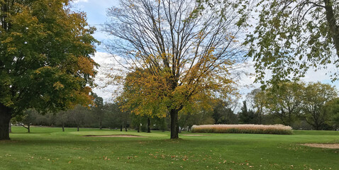 autumn fall colors on the golf course