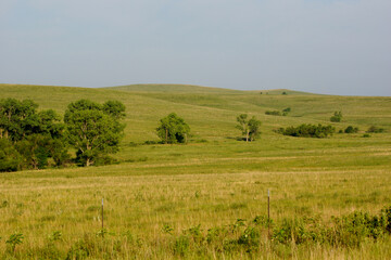 Prairie landscape with green grass hills and blue sky