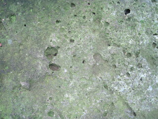 Close-up photo of a mossy rock