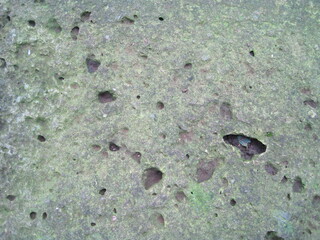 Close-up photo of a mossy rock