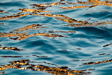 Reflection of light on water ripples