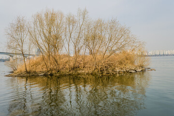 Small island covered with brown grass