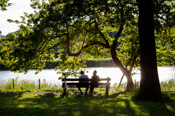 a couple silhouette sitting romantically on a park bench during sunset in Chicago. the beautiful...