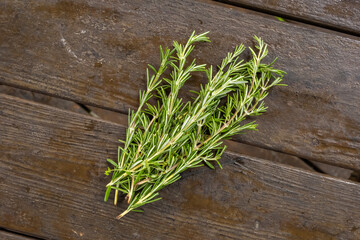 ローズマリー　ハーブ　Rosemary Herb 