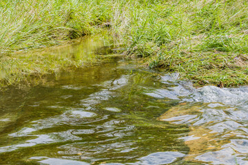 Genital waves of small stream