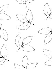 Fototapeta premium Doodle drawing style image of black and white beech leaf seamless background, vector illustration