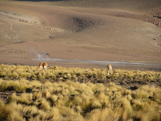 San Pedro Atacama Chile